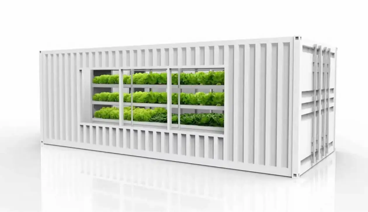 invernadero contenedor