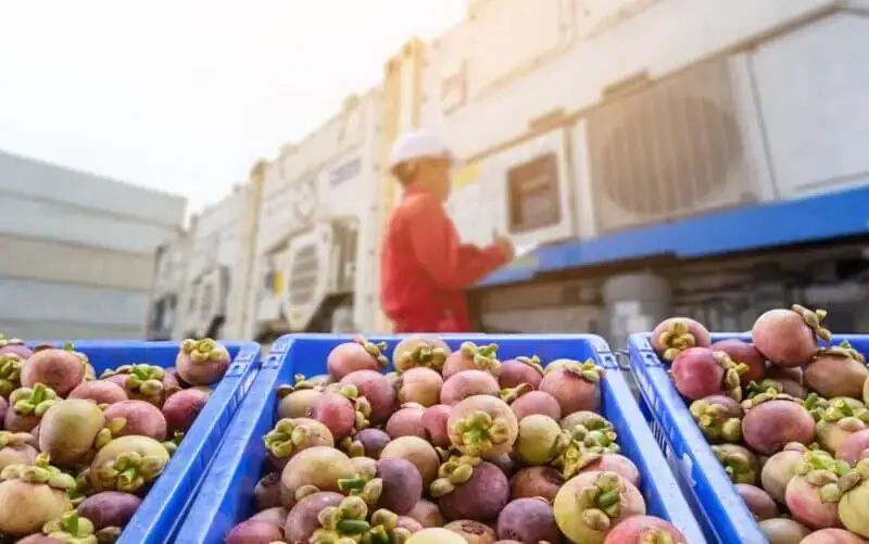 shipping container vents