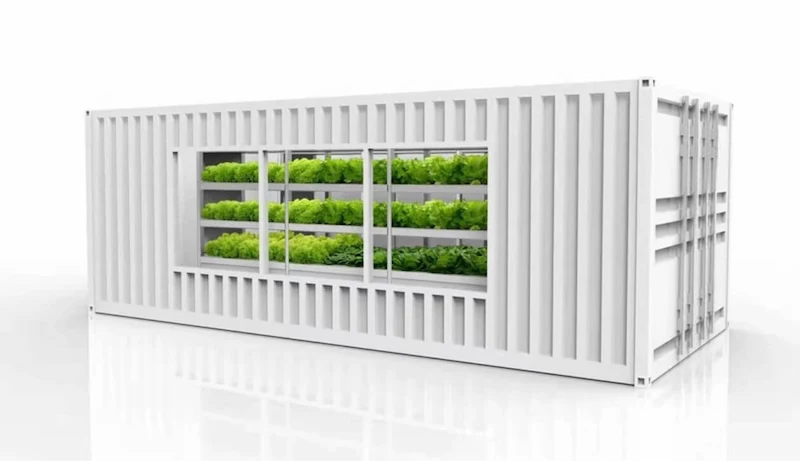 Modern white shipping container with a large window revealing multiple shelves of bright green lettuce growing inside.
