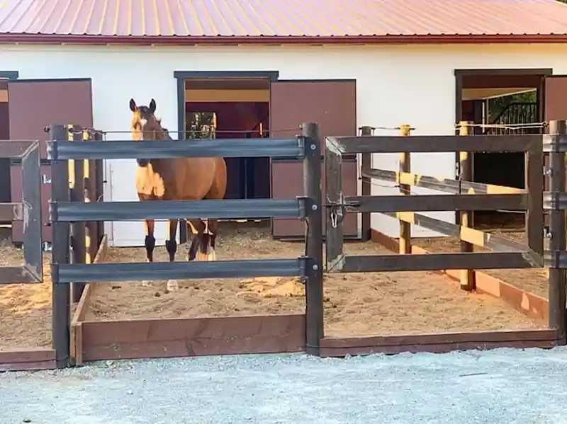 Horse standing inside a traditional stable with fenced paddock and sand floor, illustrating a classic equestrian setup.