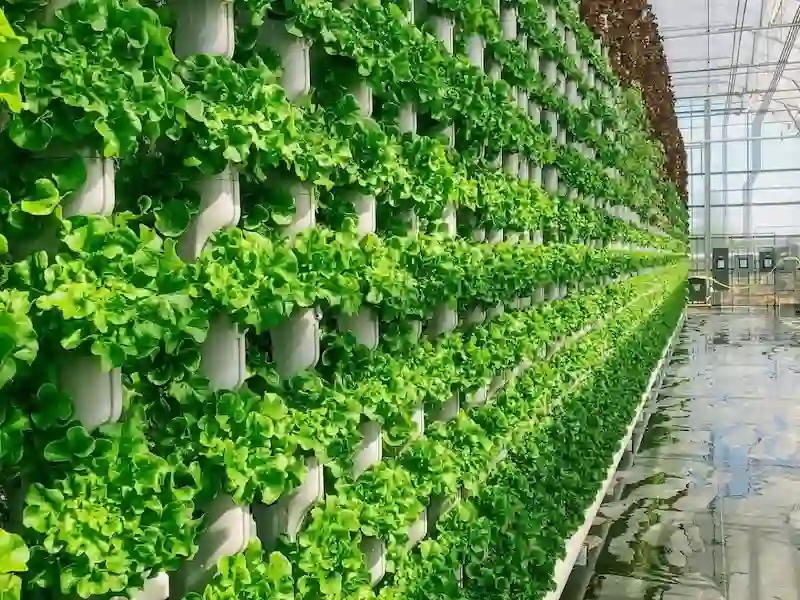 Interior of a high-tech greenhouse showing hundreds of plants growing vertically in a clean, space-saving column system.